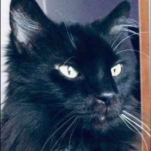 Meet your Posher, Marguerite